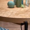 Bois du plateau de la table de repas