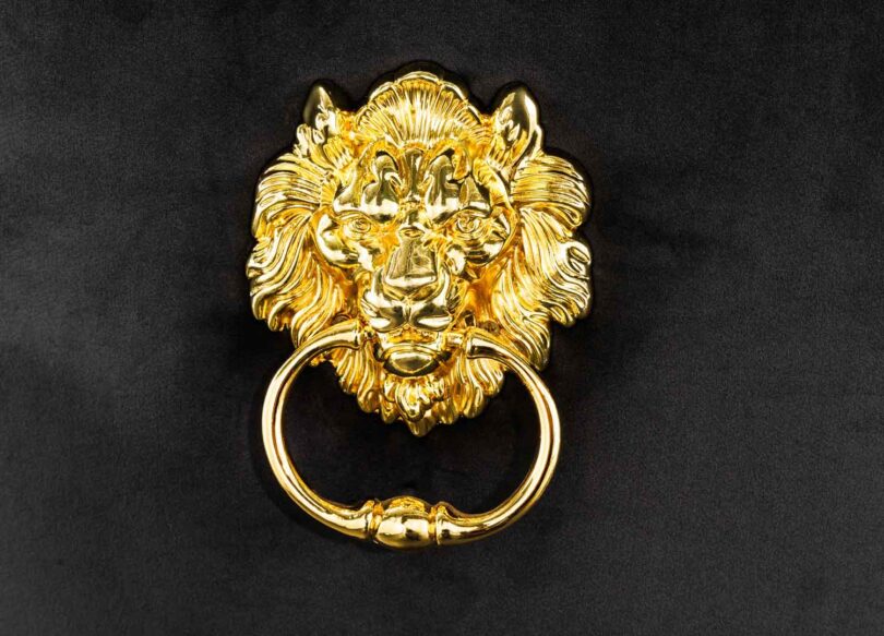 zoom sur la tete de lion doree