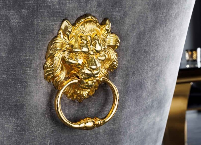 zoom sur le tete de lion doree originale