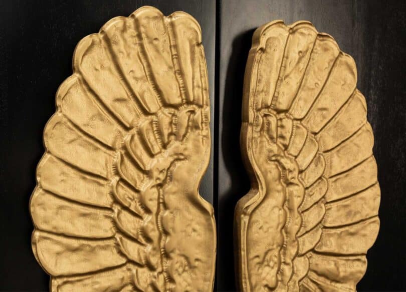 zoom sur les ailes dorees