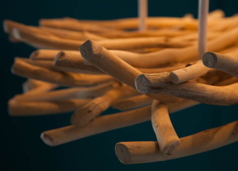 zoom sur le bois flotte