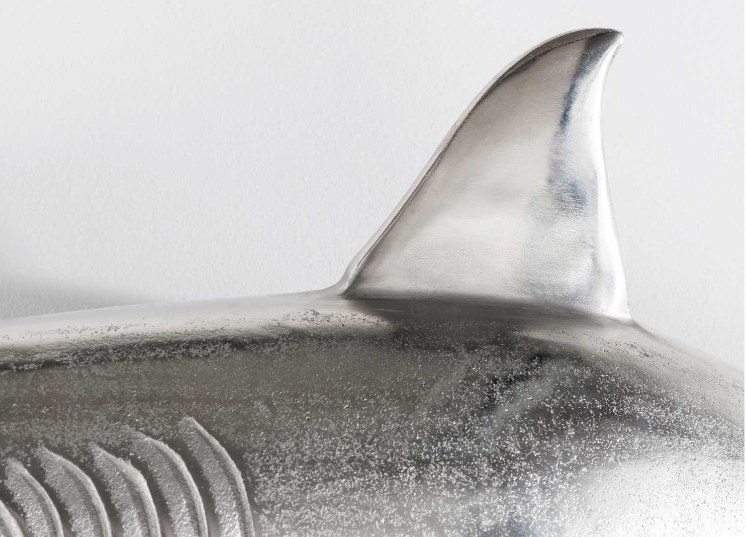 Aileron du requin mural argenté