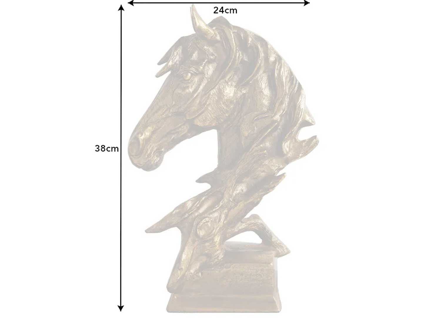 Dimensions du buste de cheval