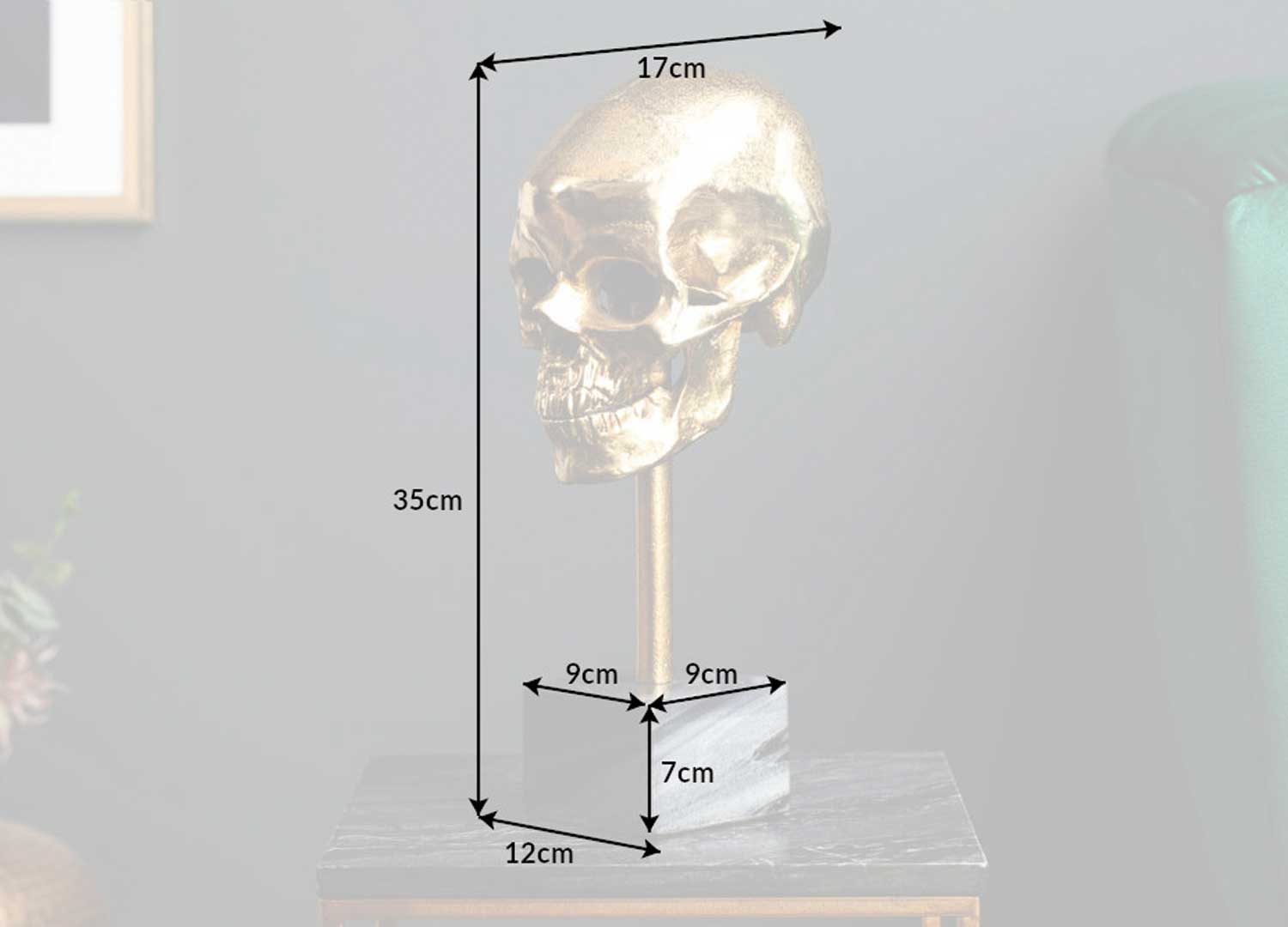 Dimensions du crâne doré