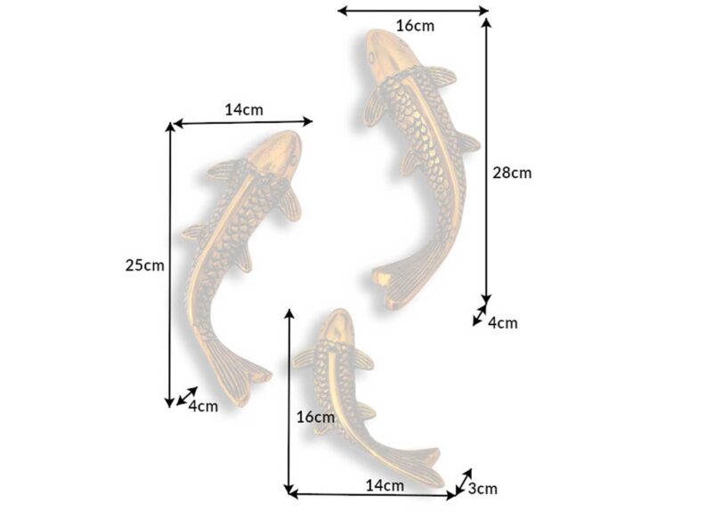 Dimension des poissons muraux dorés