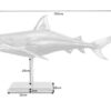 Dimensions du requin couleur argent