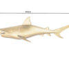 Dimensions du requin en or