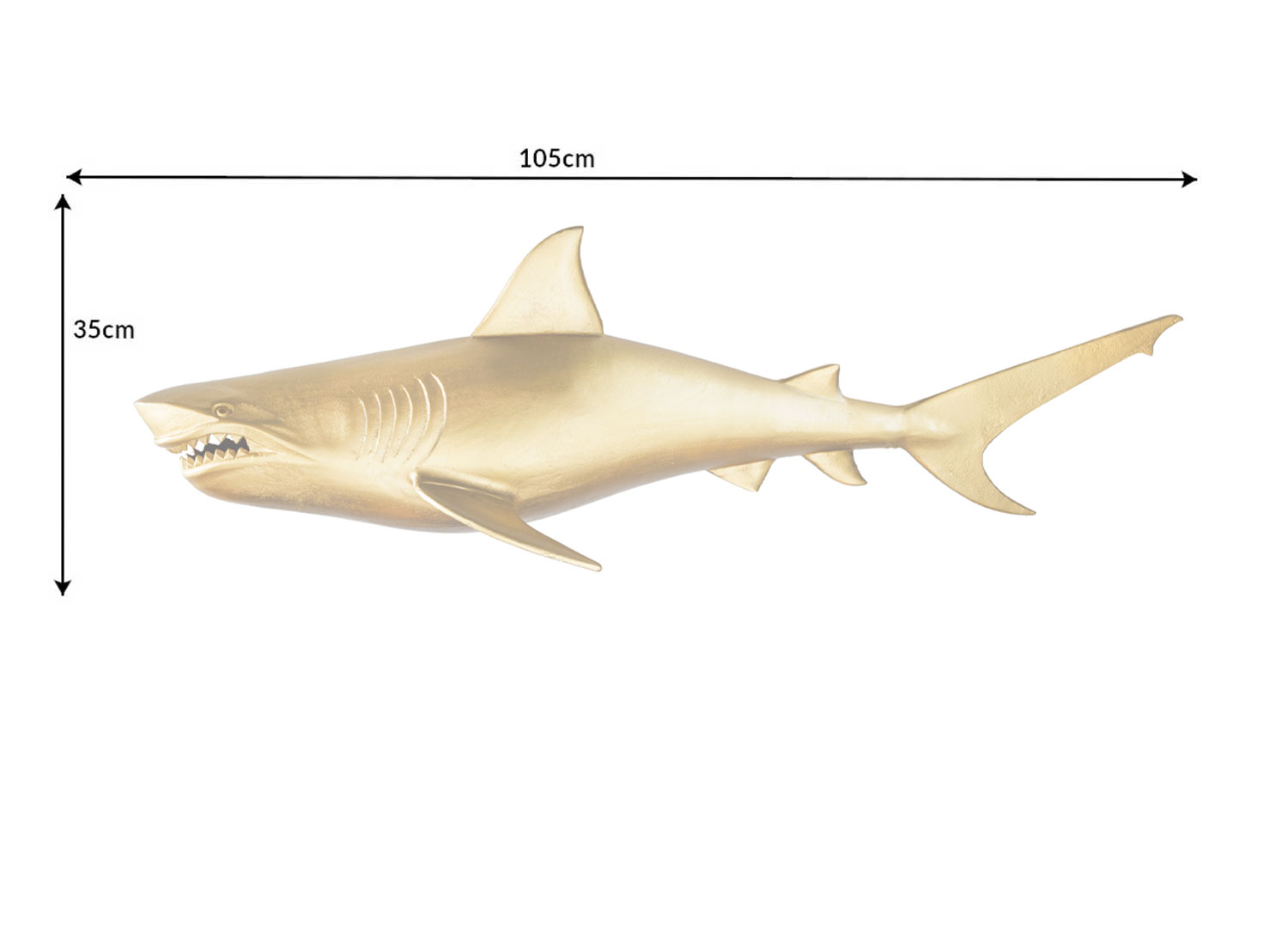 Dimensions du requin en or