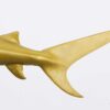 Nageoire du requin doré