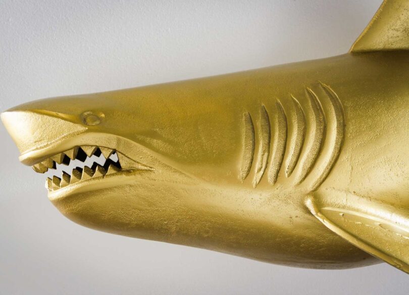 Tête de requin doré