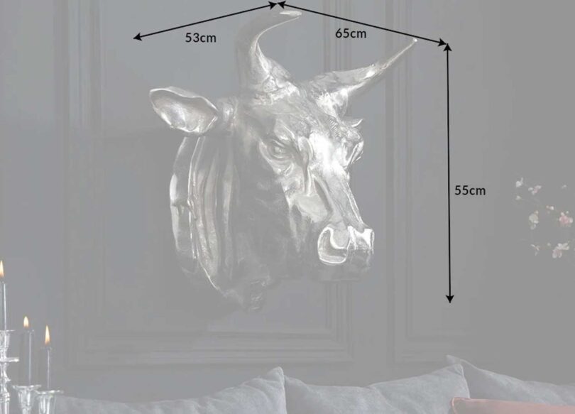 Dimensions du taureau mural en argent