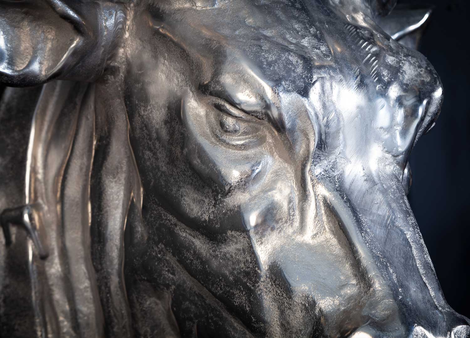Zoom sur le métal argenté de la tête de taureau