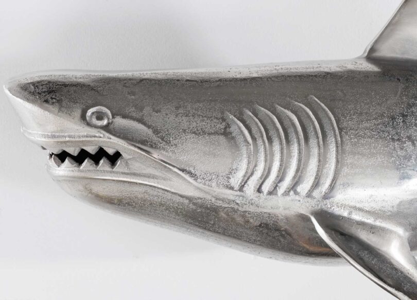 Tête du requin mural en métal