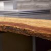 Zoom sur l'écorce de buffet haut naturel