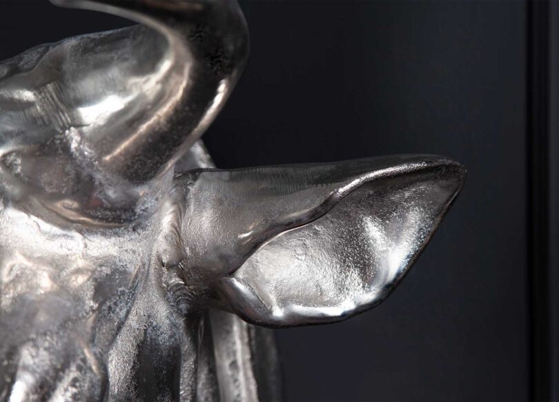 Oreille argentée de la tête de taureau