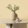 Zoom plateau beige rond de la table à manger