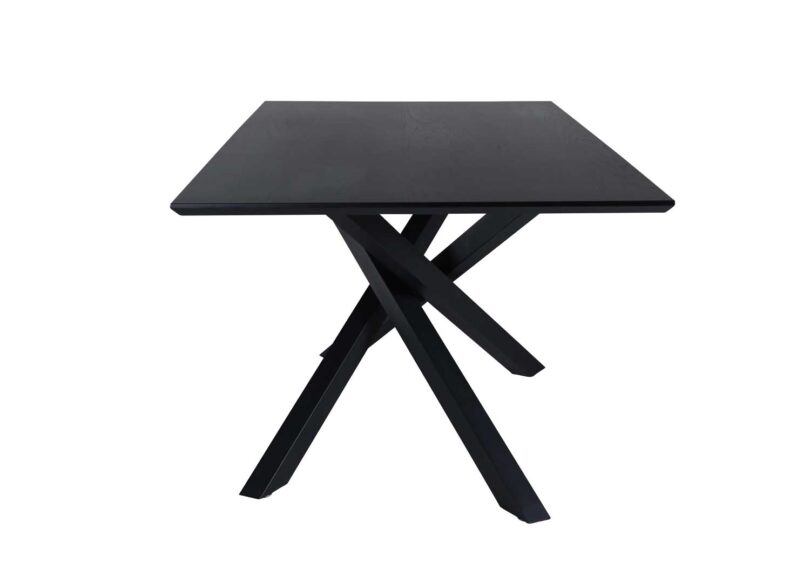Table rectangulaire de 180cm