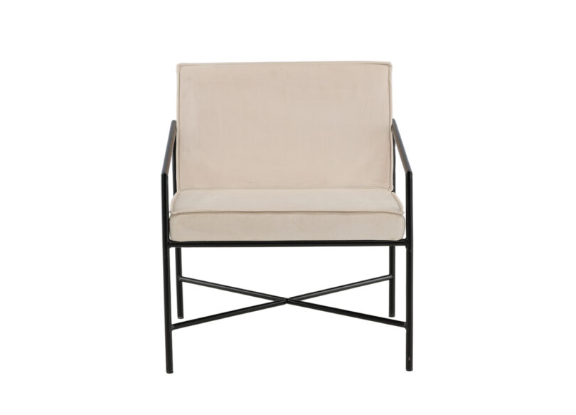 siege de salon en velours style moderne