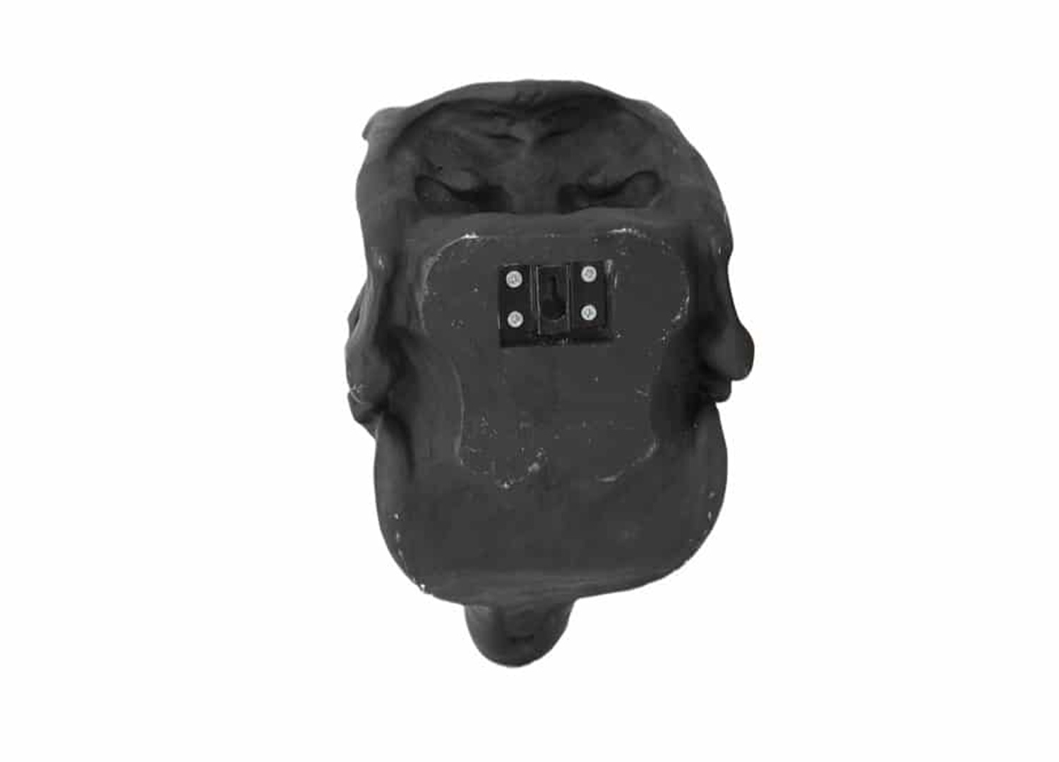 Fixation de la tête de dinosaure