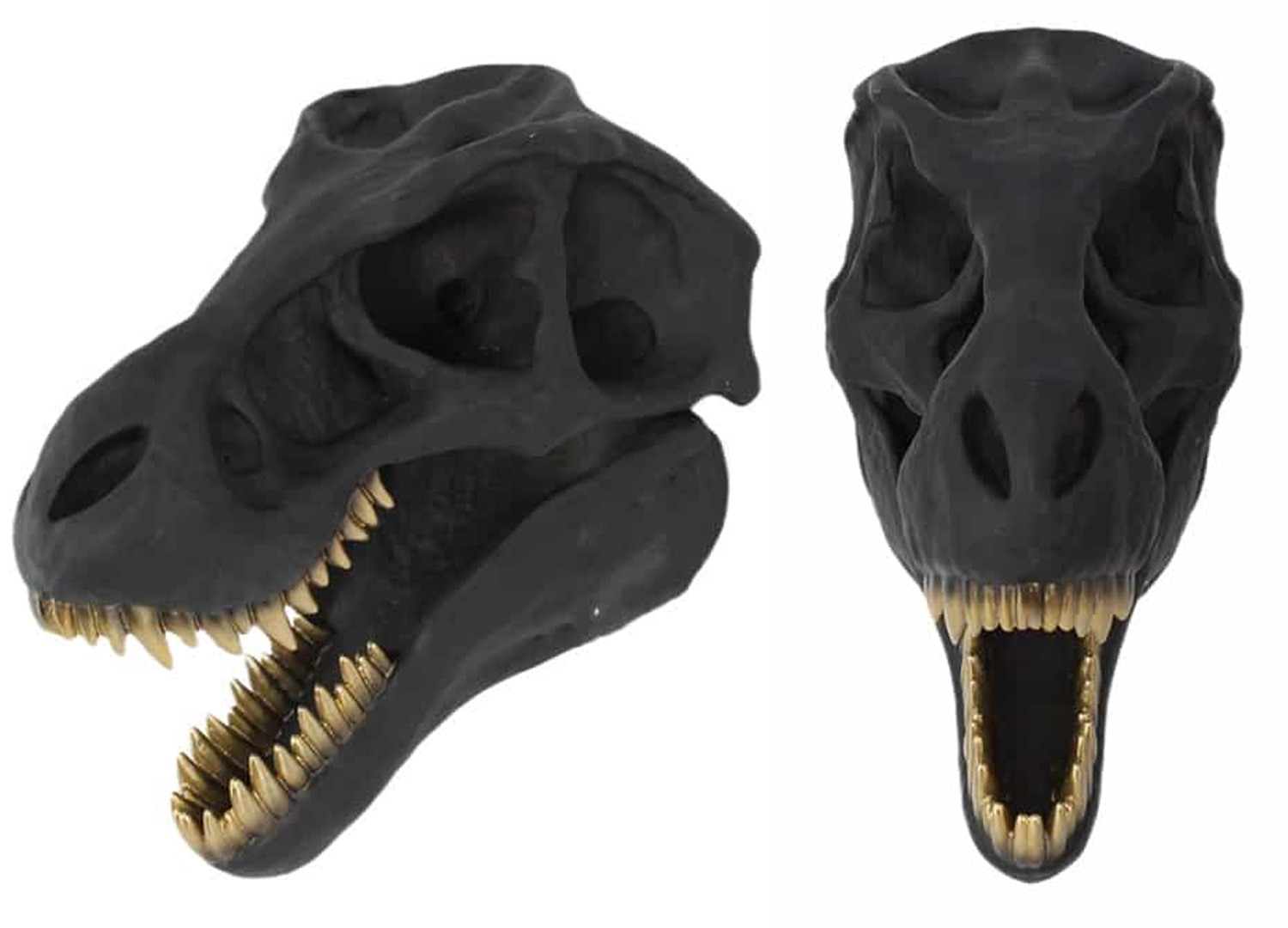 tête de dinosaure murale