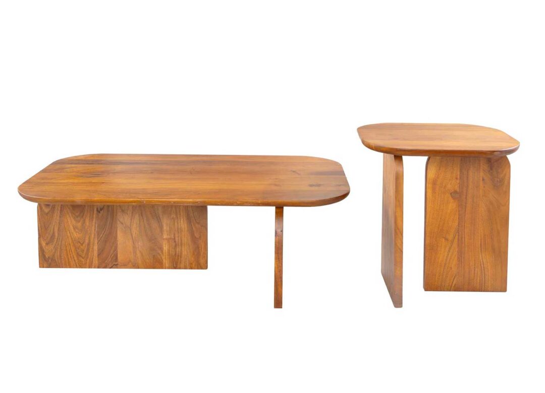 Tables basses modernes de salon