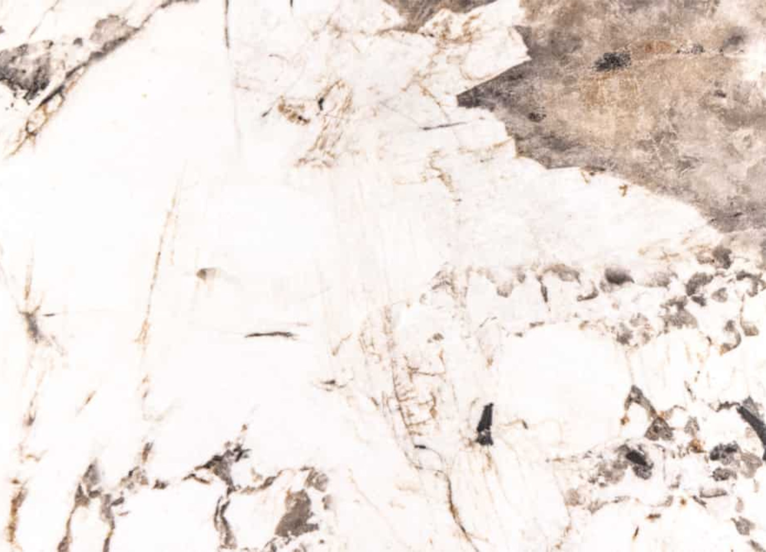 Gros plan sur les nuances blanches, grises et brunes de la céramique Pandora de la table ÉLIORA